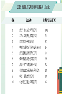 2016年全国发明专利申请量排名前10企业